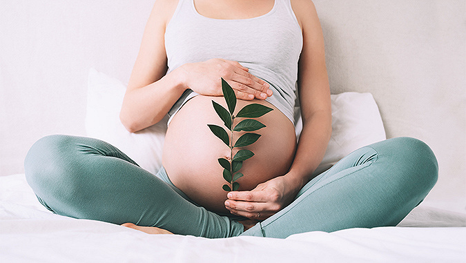 A pregnant woman sits cross-legged on the bed. With one hand she uncovers her belly, in the other she holds a twig with green leaves in front of it. 