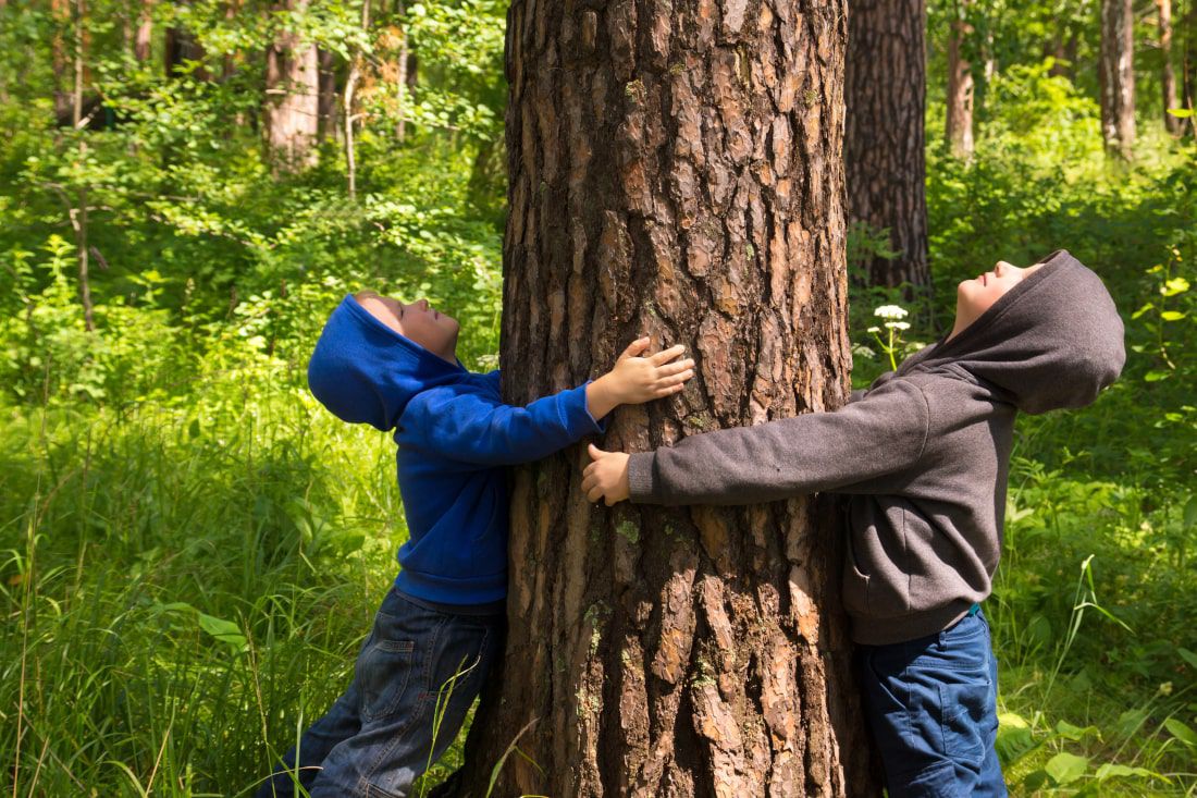 Two children hugging a tree in the forest, they're happy